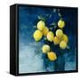 Lemon Grove II-Julia Purinton-Framed Stretched Canvas