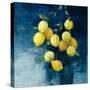 Lemon Grove II-Julia Purinton-Stretched Canvas