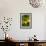 Lemon Grove III-Karyn Millet-Framed Photographic Print displayed on a wall