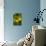 Lemon Grove III-Karyn Millet-Photo displayed on a wall