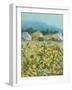 Lemon Grove, Tuscany - Observation-Hazel Barker-Framed Giclee Print