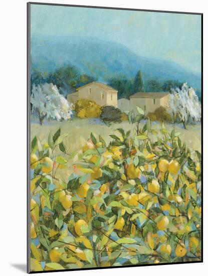 Lemon Grove, Tuscany - Observation-Hazel Barker-Mounted Giclee Print