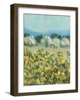 Lemon Grove, Tuscany - Perception-Hazel Barker-Framed Giclee Print