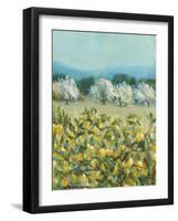 Lemon Grove, Tuscany - Perception-Hazel Barker-Framed Giclee Print