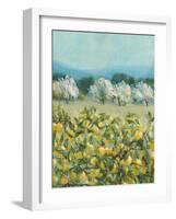 Lemon Grove, Tuscany - Perception-Hazel Barker-Framed Giclee Print