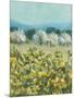 Lemon Grove, Tuscany - Perception-Hazel Barker-Mounted Giclee Print