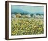 Lemon Grove, Tuscany-Hazel Barker-Framed Giclee Print