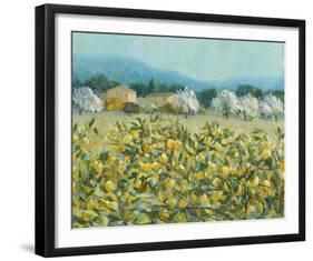 Lemon Grove, Tuscany-Hazel Barker-Framed Giclee Print