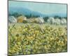 Lemon Grove, Tuscany-Hazel Barker-Mounted Giclee Print