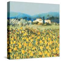 Lemon Grove, Tuscany-Hazel Barker-Stretched Canvas