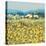 Lemon Grove, Tuscany-Hazel Barker-Stretched Canvas