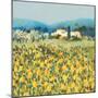 Lemon Grove, Tuscany-Hazel Barker-Mounted Premium Giclee Print