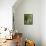 Lemon Groves, Amalfi Coast, Campania, Italy, Europe-Mark Mawson-Framed Stretched Canvas displayed on a wall