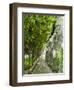 Lemon Groves, Amalfi Coast, Campania, Italy, Europe-Mark Mawson-Framed Premium Photographic Print