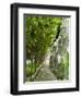 Lemon Groves, Amalfi Coast, Campania, Italy, Europe-Mark Mawson-Framed Premium Photographic Print