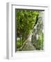 Lemon Groves, Amalfi Coast, Campania, Italy, Europe-Mark Mawson-Framed Premium Photographic Print