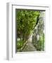 Lemon Groves, Amalfi Coast, Campania, Italy, Europe-Mark Mawson-Framed Photographic Print