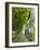 Lemon Groves, Amalfi Coast, Campania, Italy, Europe-Mark Mawson-Framed Photographic Print