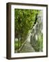 Lemon Groves, Amalfi Coast, Campania, Italy, Europe-Mark Mawson-Framed Photographic Print