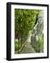 Lemon Groves, Amalfi Coast, Campania, Italy, Europe-Mark Mawson-Framed Photographic Print