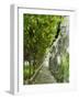 Lemon Groves, Amalfi Coast, Campania, Italy, Europe-Mark Mawson-Framed Photographic Print