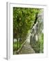 Lemon Groves, Amalfi Coast, Campania, Italy, Europe-Mark Mawson-Framed Photographic Print