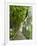 Lemon Groves, Amalfi Coast, Campania, Italy, Europe-Mark Mawson-Framed Photographic Print