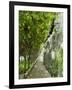 Lemon Groves, Amalfi Coast, Campania, Italy, Europe-Mark Mawson-Framed Photographic Print