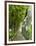 Lemon Groves, Amalfi Coast, Campania, Italy, Europe-Mark Mawson-Framed Photographic Print