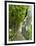 Lemon Groves, Amalfi Coast, Campania, Italy, Europe-Mark Mawson-Framed Photographic Print