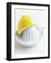 Lemon Half on Lemon Squeezer-Maja Smend-Framed Photographic Print