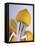 Lemon Half on Metal Juicer-Alexander Feig-Framed Stretched Canvas