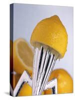 Lemon Half on Metal Juicer-Alexander Feig-Stretched Canvas