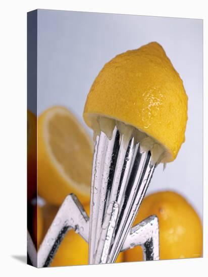 Lemon Half on Metal Juicer-Alexander Feig-Stretched Canvas