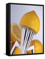 Lemon Half on Metal Juicer-Alexander Feig-Framed Stretched Canvas