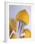 Lemon Half on Metal Juicer-Alexander Feig-Framed Photographic Print