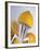 Lemon Half on Metal Juicer-Alexander Feig-Framed Photographic Print