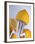 Lemon Half on Metal Juicer-Alexander Feig-Framed Photographic Print