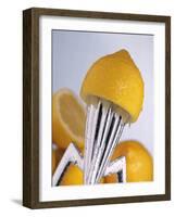 Lemon Half on Metal Juicer-Alexander Feig-Framed Photographic Print