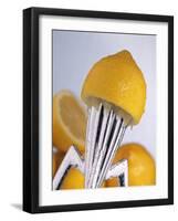 Lemon Half on Metal Juicer-Alexander Feig-Framed Photographic Print