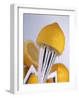 Lemon Half on Metal Juicer-Alexander Feig-Framed Photographic Print