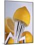 Lemon Half on Metal Juicer-Alexander Feig-Mounted Photographic Print