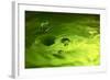 Lemon Lime Drop I-Tammy Putman-Framed Photographic Print