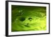 Lemon Lime Drop I-Tammy Putman-Framed Photographic Print