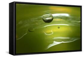 Lemon Lime Drop II-Tammy Putman-Framed Stretched Canvas