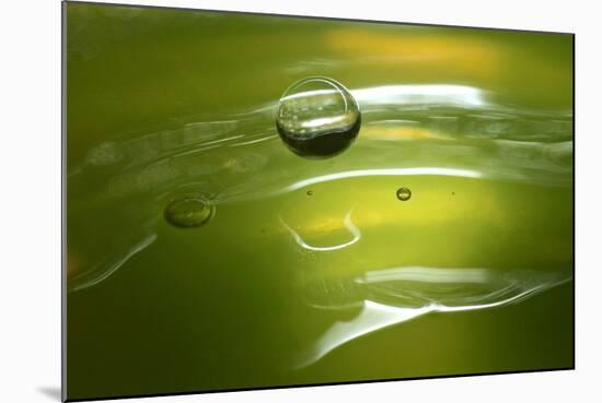 Lemon Lime Drop II-Tammy Putman-Mounted Photographic Print