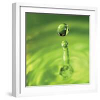 Lemon Lime Drop III-Tammy Putman-Framed Photographic Print