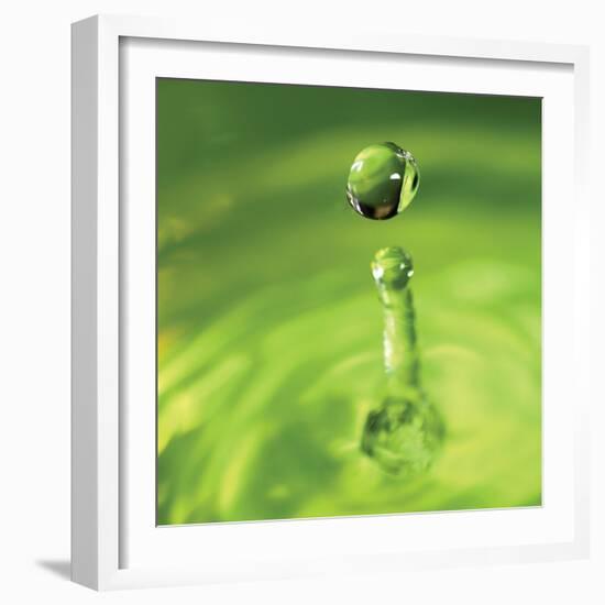 Lemon Lime Drop III-Tammy Putman-Framed Photographic Print