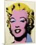 Lemon Marilyn, 1962-Andy Warhol-Mounted Giclee Print