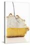 Lemon Meringue Pie with a Fork-Clinton Hussey-Stretched Canvas